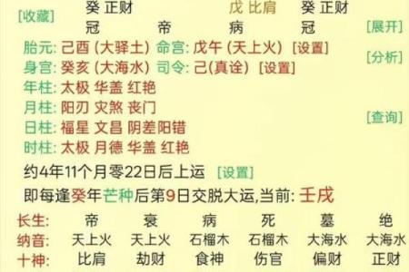 八字怎么看自己是什么命格,八字查询生辰八字查询