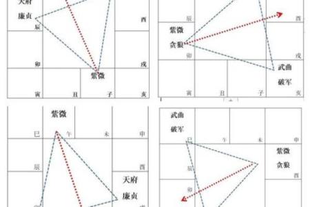 紫微斗数，解析紫薇南斗星