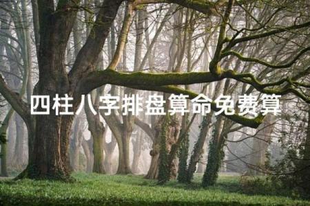 元亨利贞四柱八字