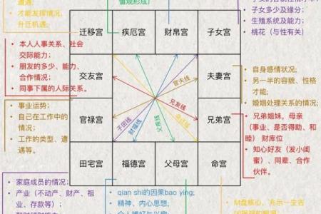 紫薇斗数代表什么