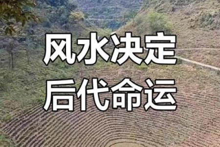 祖坟风水会有哪些影响