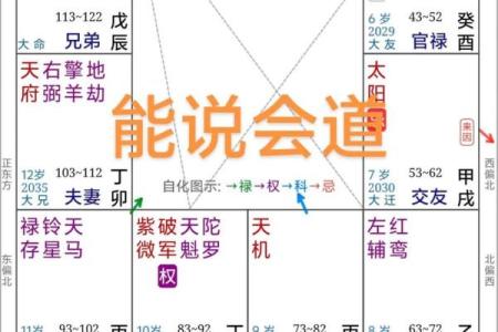 紫薇星入福德宫性格孤僻