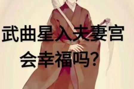 紫微斗数之夫妻宫与诸星,武曲星在夫妻宫是什么意思？