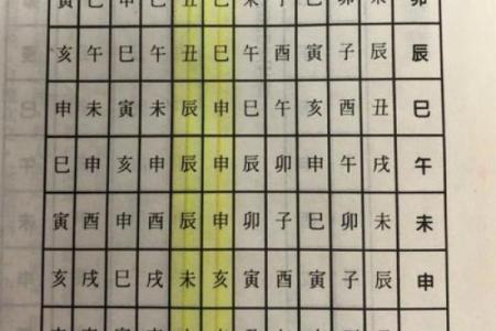 八字巳巳亥