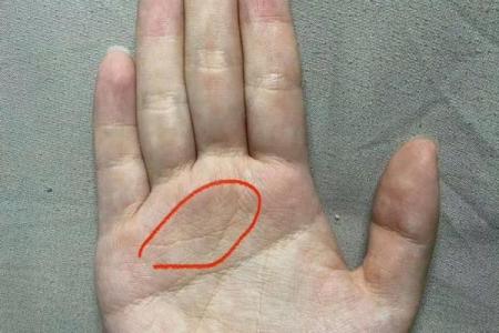 断掌算命,断掌上面还有感情线