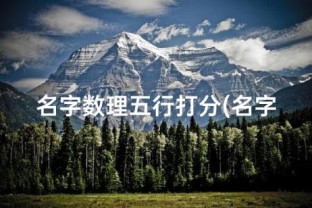 八字得分