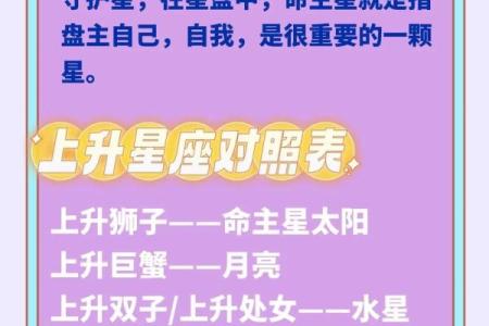 八字主星是什么意思 八字主星含义