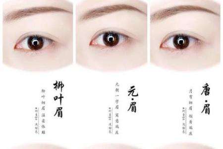 八字眉怎么画