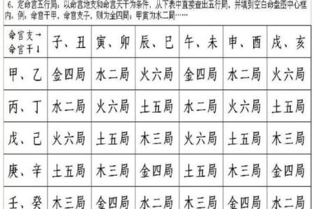 灵动紫薇斗数排盘