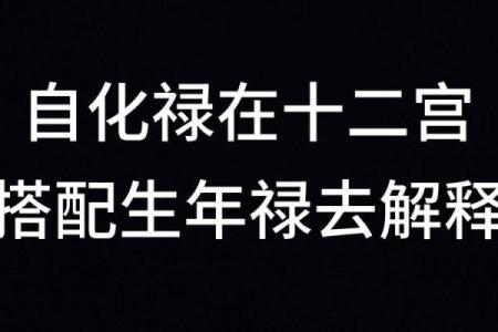 得禄紫微斗数 得禄啥意思？