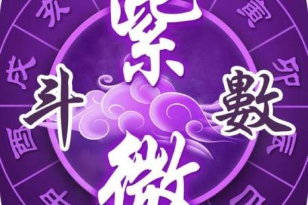 我是紫薇斗数