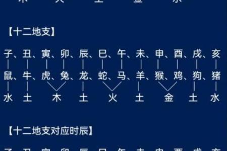 命中八字财库查询