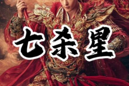 紫薇斗数视频