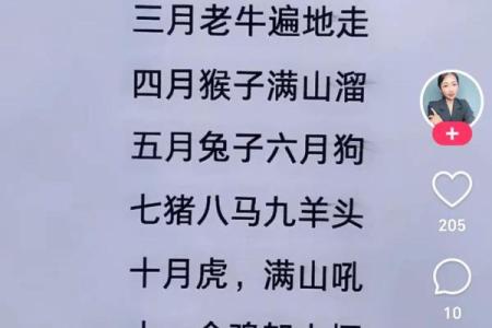 生辰八字中的破月什么意思