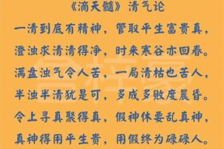 【颐八字】雕琢命运轮廓，释放个人潜能的智慧秘诀