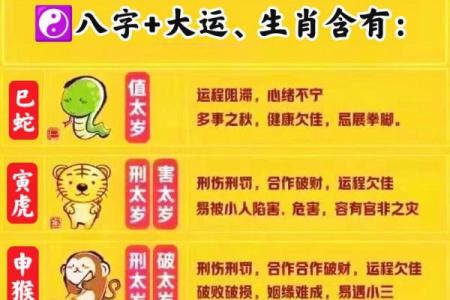八字大家属于哪个生肖