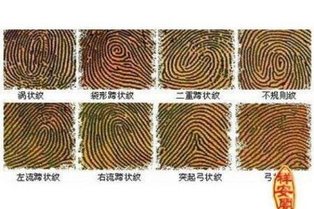 手指斗算命 手上有几个斗适合当老板