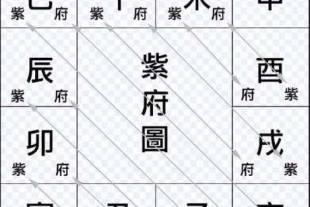 紫薇星在申宫