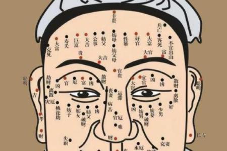 眼皮的面相解析 通过眼皮看面相算命